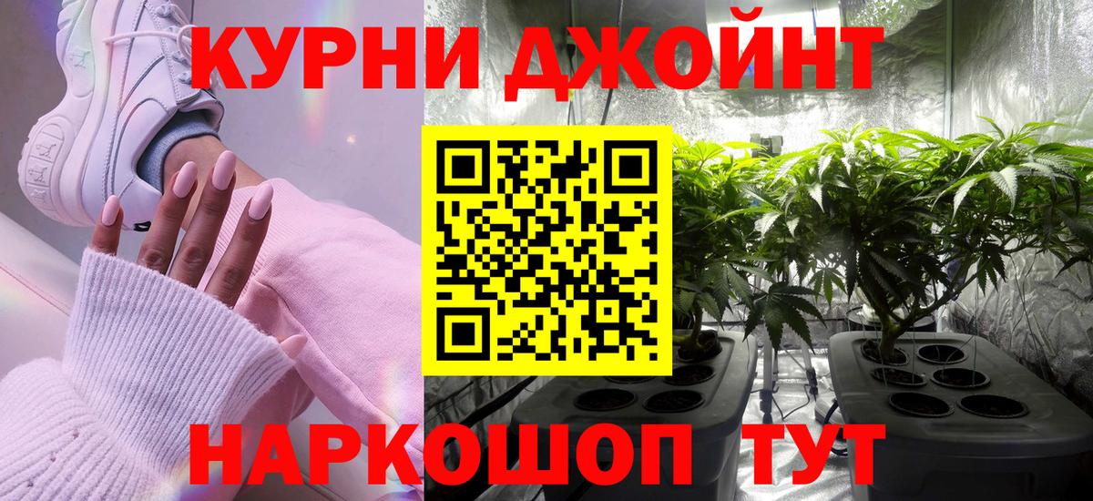 Шишки марихуана Amnesia Новочеркасск